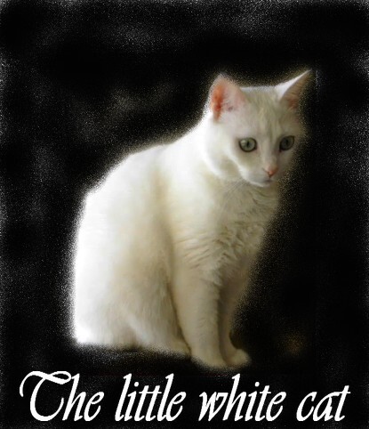 The little white cat